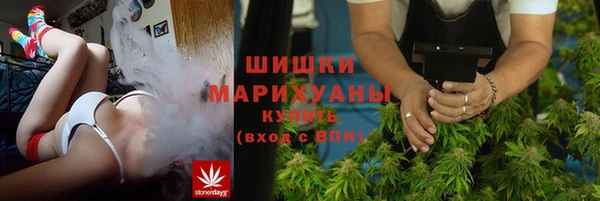 стаф Дмитровск