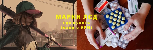 стаф Дмитровск