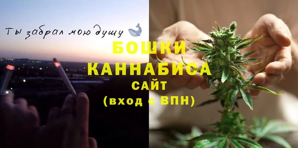 стаф Дмитровск