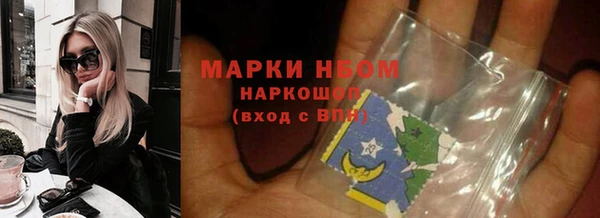 стаф Дмитровск