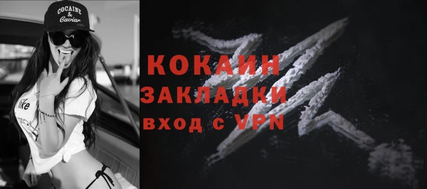 гидра Дмитров