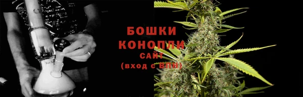 гидра Дмитров