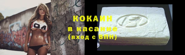 ешки Дмитриев