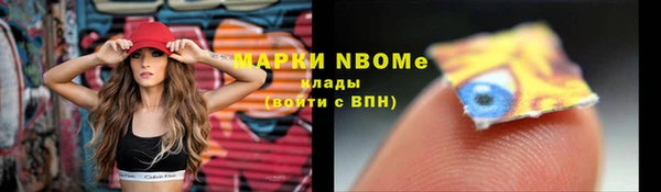 гидра Дмитров