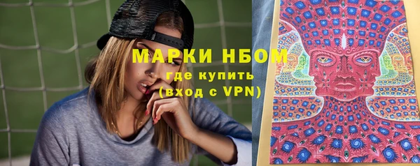 стаф Дмитровск
