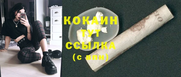 стаф Дмитровск