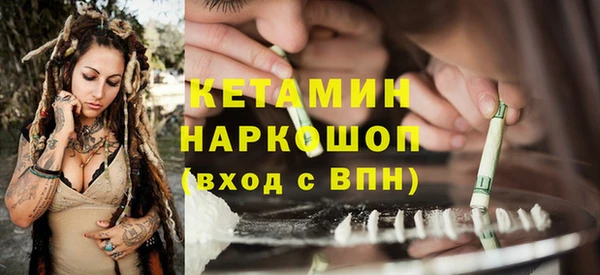 стаф Дмитровск