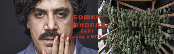 гидра Дмитров