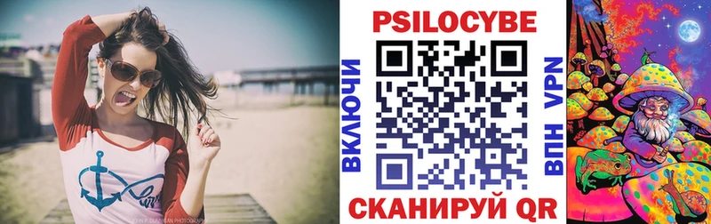 Галлюциногенные грибы Psilocybine cubensis Советская Гавань